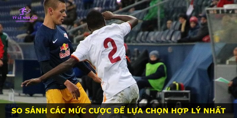 So sánh các mức cược để lựa chọn hợp lý nhất
