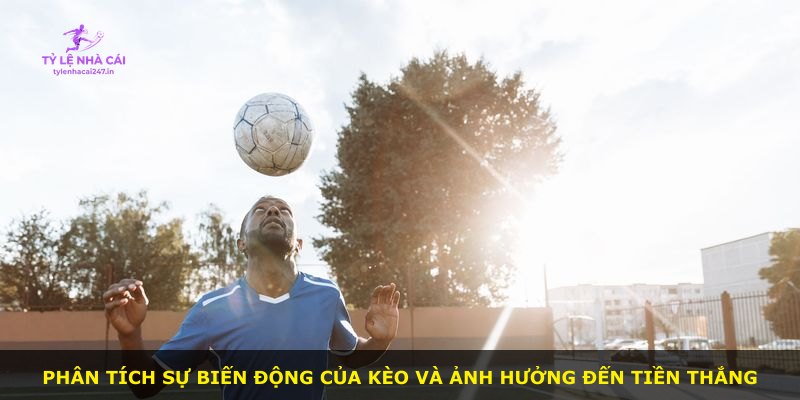 Phân tích sự biến động của kèo và ảnh hưởng đến tiền thắng
