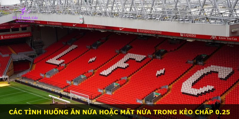 Các tình huống ăn nửa hoặc mất nửa trong Kèo Chấp 0.25