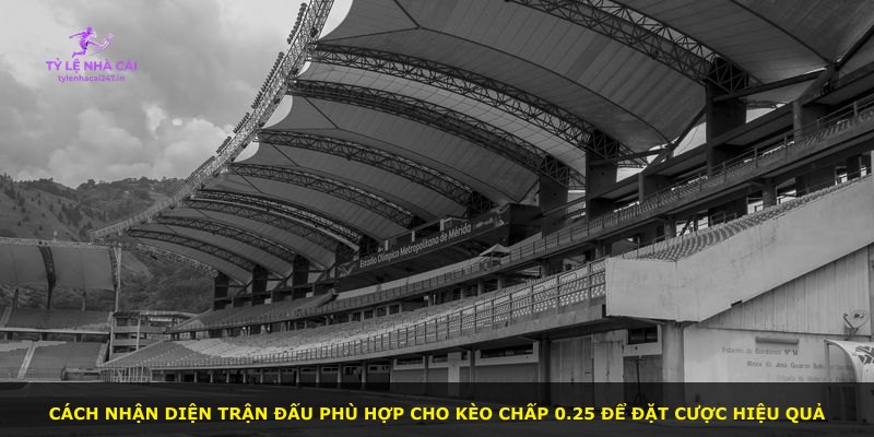 Cách nhận diện trận đấu phù hợp cho Kèo Chấp 0.25 để đặt cược hiệu quả