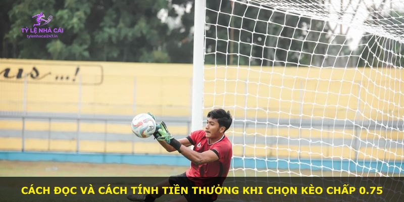 Cách đọc và cách tính tiền thưởng khi chọn kèo chấp 0.75