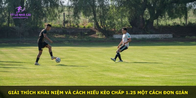 Giải thích khái niệm và cách hiểu kèo chấp 1.25 một cách đơn giản