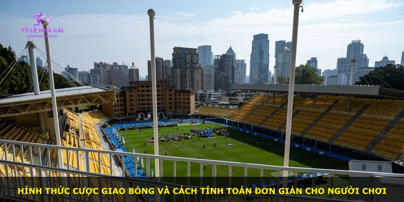 Hình thức cược giao bóng và cách tính toán đơn giản cho người chơi