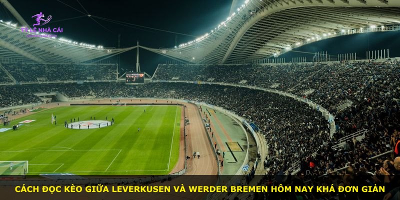 Cách đọc kèo giữa Leverkusen và Werder Bremen hôm nay khá đơn giản