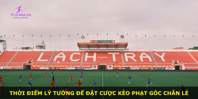 Thời điểm lý tưởng để đặt cược kèo phạt góc chẵn lẻ