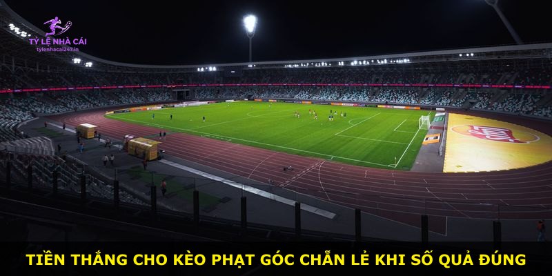 Tiền thắng cho kèo phạt góc chẵn lẻ khi số quả đúng