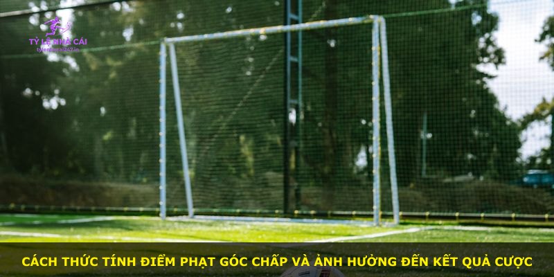 Cách thức tính điểm phạt góc chấp và ảnh hưởng đến kết quả cược
