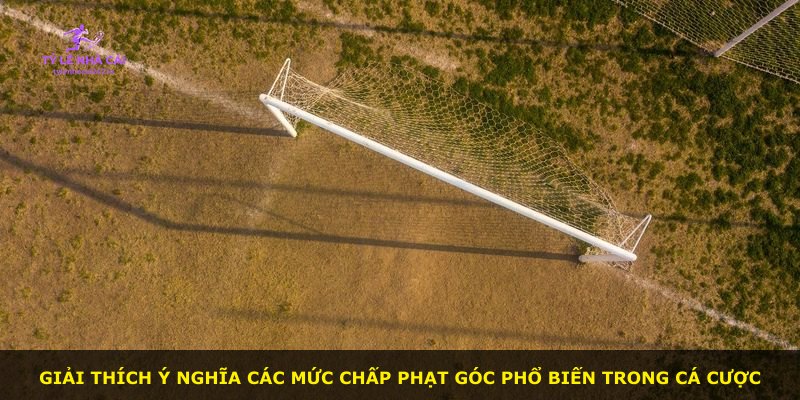 Giải thích ý nghĩa các mức chấp phạt góc phổ biến trong cá cược