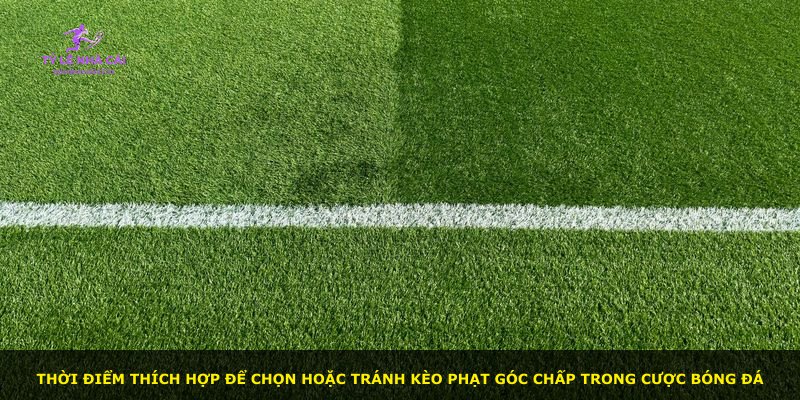 Thời điểm thích hợp để chọn hoặc tránh kèo phạt góc chấp trong cược bóng đá