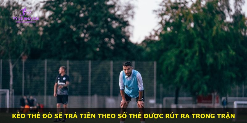 Kèo thẻ đỏ sẽ trả tiền theo số thẻ được rút ra trong trận