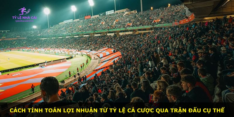 Cách tính toán lợi nhuận từ tỷ lệ cá cược qua trận đấu cụ thể