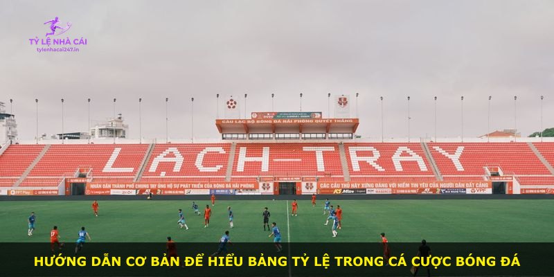 Hướng dẫn cơ bản để hiểu bảng tỷ lệ trong cá cược bóng đá