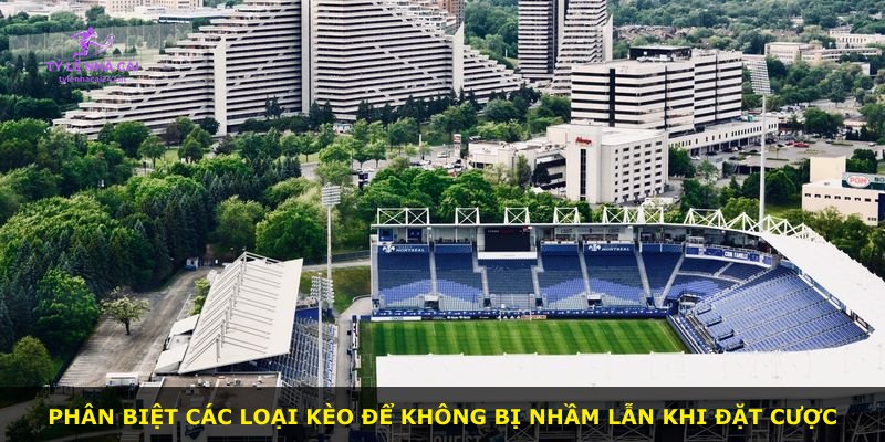 Phân biệt các loại kèo để không bị nhầm lẫn khi đặt cược