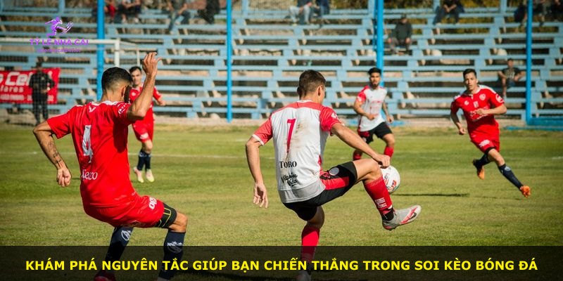 Khám phá nguyên tắc giúp bạn chiến thắng trong soi kèo bóng đá