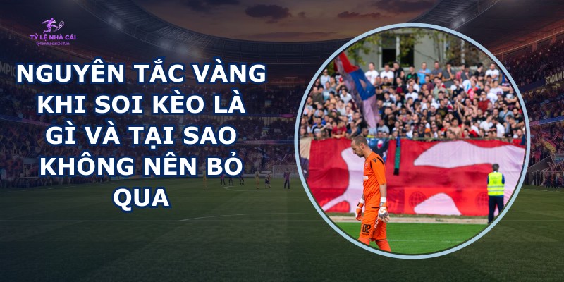 Nguyên Tắc Vàng Khi Soi Kèo