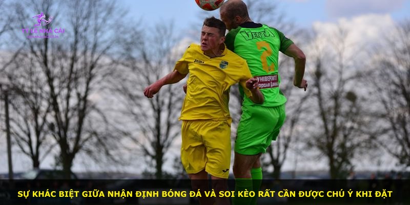 Sự khác biệt giữa nhận định bóng đá và soi kèo rất cần được chú ý khi đặt