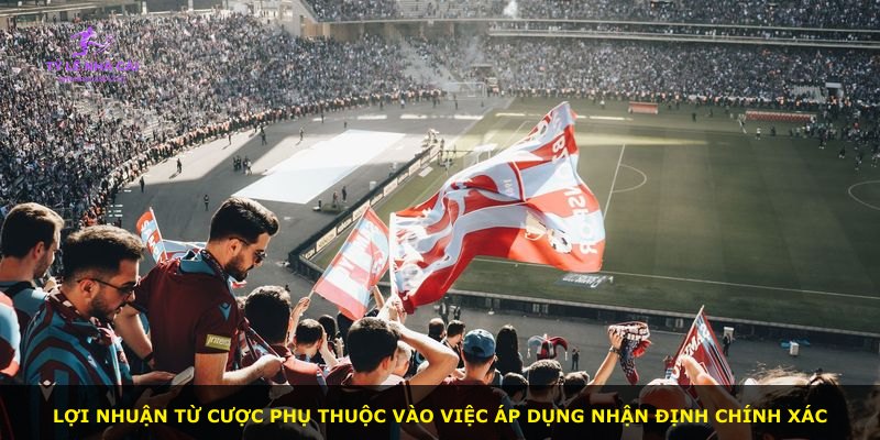 Lợi nhuận từ cược phụ thuộc vào việc áp dụng nhận định chính xác