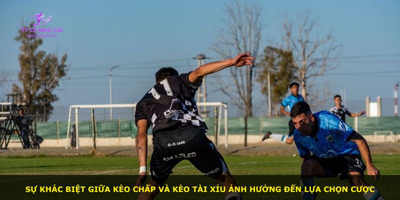 Sự khác biệt giữa kèo chấp và kèo tài xỉu ảnh hưởng đến lựa chọn cược