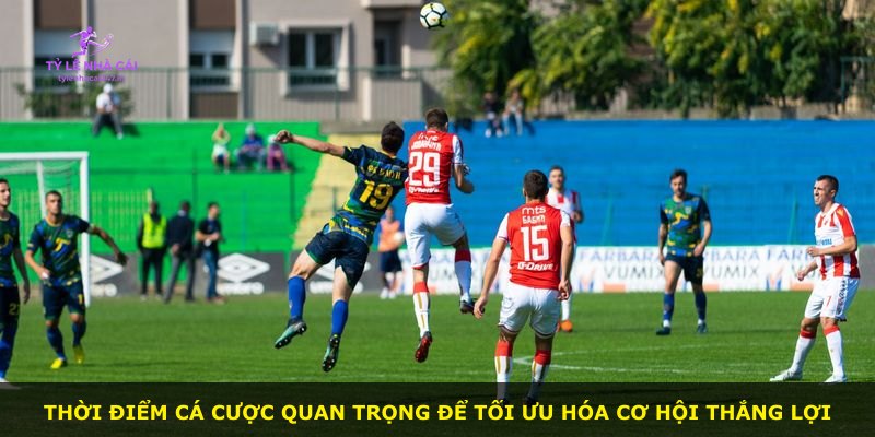 Thời điểm cá cược quan trọng để tối ưu hóa cơ hội thắng lợi