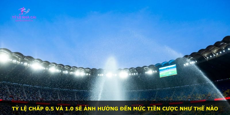 Tỷ lệ chấp 0.5 và 1.0 sẽ ảnh hưởng đến mức tiền cược như thế nào