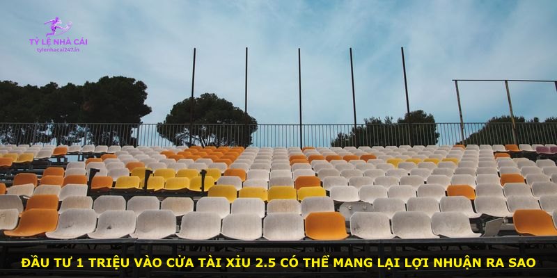 Đầu tư 1 triệu vào cửa tài xỉu 2.5 có thể mang lại lợi nhuận ra sao