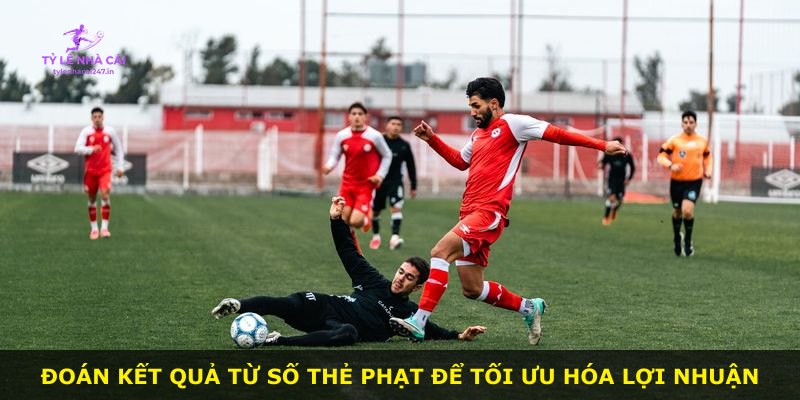 Đoán kết quả từ số thẻ phạt để tối ưu hóa lợi nhuận