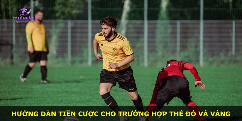 Hướng dẫn tiền cược cho trường hợp thẻ đỏ và vàng