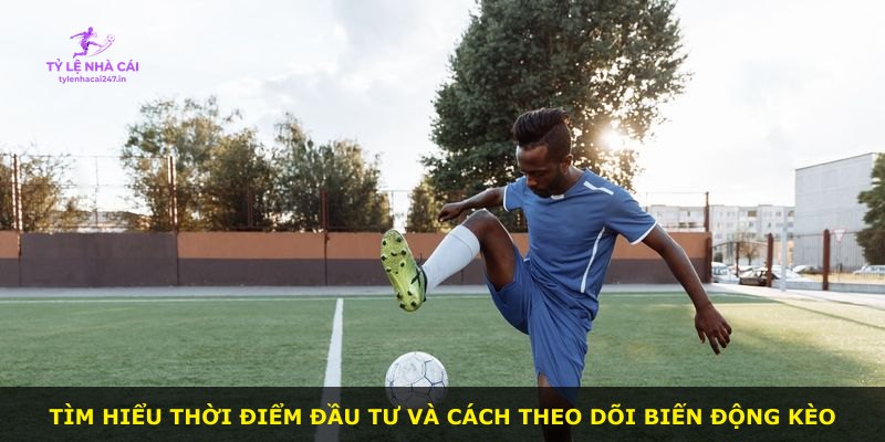 Tìm hiểu thời điểm đầu tư và cách theo dõi biến động kèo