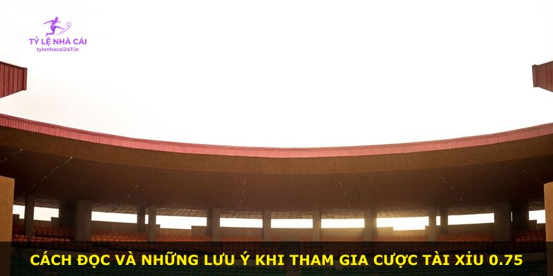 Cách đọc và những lưu ý khi tham gia cược Tài Xỉu 0.75