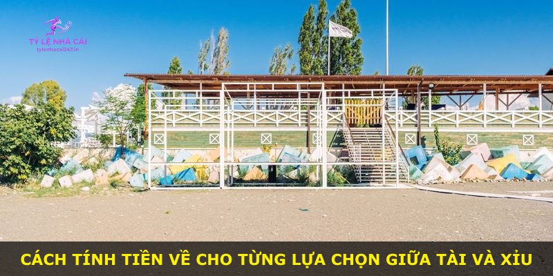 Cách tính tiền về cho từng lựa chọn giữa Tài và Xỉu