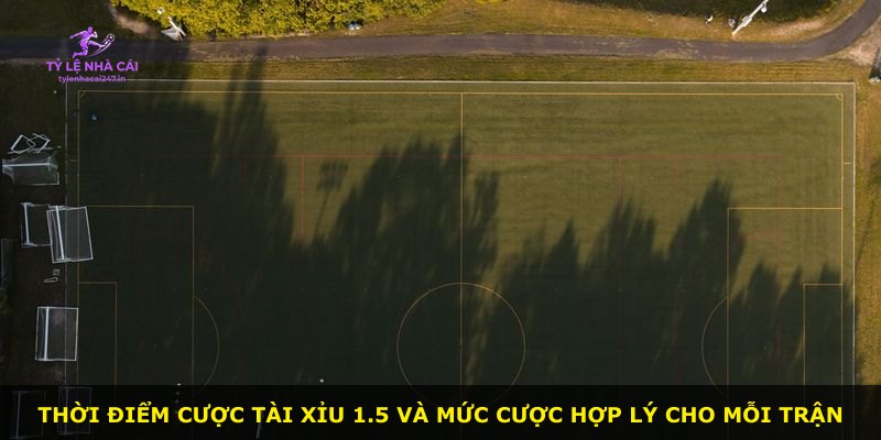 Thời điểm cược Tài Xỉu 1.5 và mức cược hợp lý cho mỗi trận
