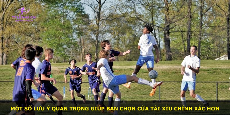 Một số lưu ý quan trọng giúp bạn chọn cửa Tài Xỉu chính xác hơn