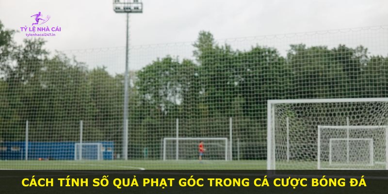 Cách tính số quả phạt góc trong cá cược bóng đá
