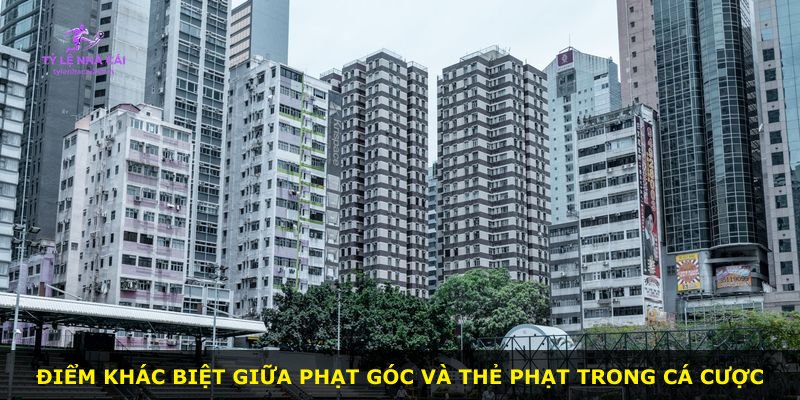 Điểm khác biệt giữa phạt góc và thẻ phạt trong cá cược