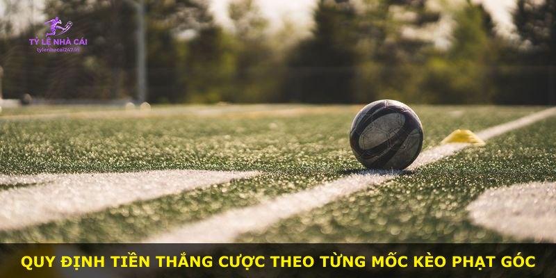 Quy định tiền thắng cược theo từng mốc kèo phạt góc