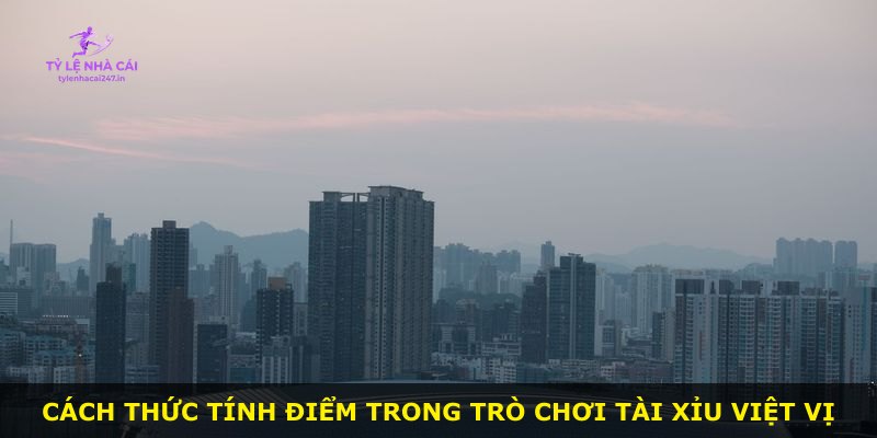 Cách thức tính điểm trong trò chơi Tài Xỉu Việt Vị