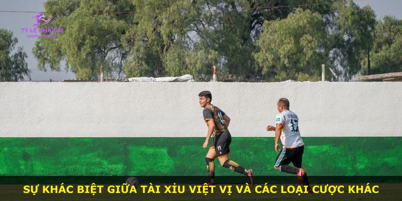 Sự khác biệt giữa Tài Xỉu Việt Vị và các loại cược khác