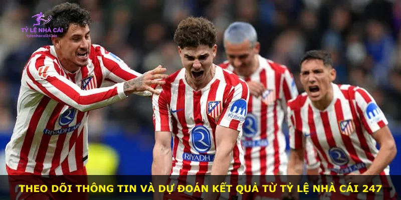 Theo dõi thông tin và dự đoán kết quả từ Tỷ Lệ Nhà Cái 247