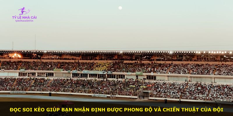 Đọc soi kèo giúp bạn nhận định được phong độ và chiến thuật của đội