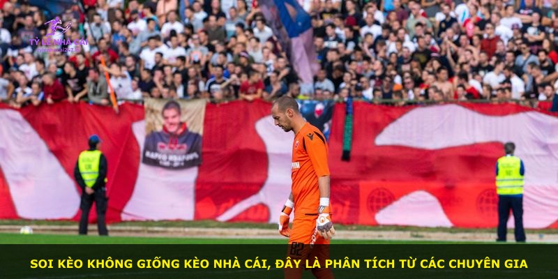 Soi kèo không giống kèo nhà cái, đây là phân tích từ các chuyên gia