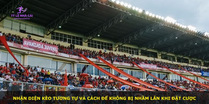 Nhận diện kèo tương tự và cách để không bị nhầm lẫn khi đặt cược