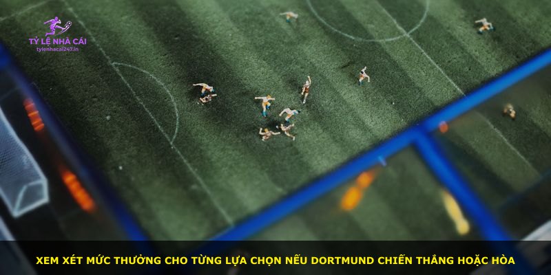 Xem xét mức thưởng cho từng lựa chọn nếu Dortmund chiến thắng hoặc hòa