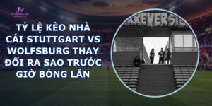 tỷ lệ kèo nhà cái Stuttgart vs Wolfsburg