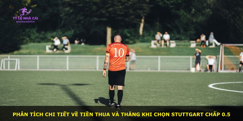 Phân tích chi tiết về tiền thua và thắng khi chọn Stuttgart chấp 0.5