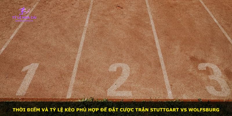 Thời điểm và tỷ lệ kèo phù hợp để đặt cược trận Stuttgart vs Wolfsburg
