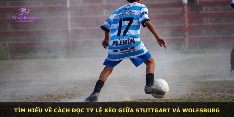 Tìm hiểu về cách đọc tỷ lệ kèo giữa Stuttgart và Wolfsburg