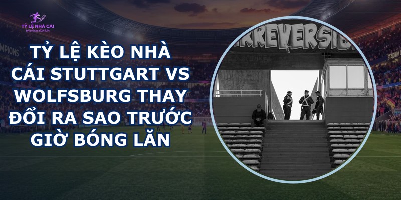 tỷ lệ kèo nhà cái Stuttgart vs Wolfsburg