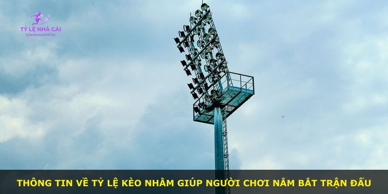 Thông tin về tỷ lệ kèo nhằm giúp người chơi nắm bắt trận đấu
