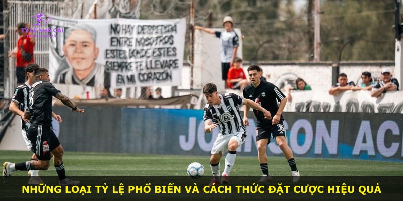 Những loại tỷ lệ phổ biến và cách thức đặt cược hiệu quả