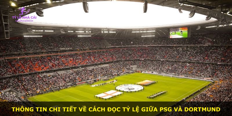 Thông tin chi tiết về cách đọc tỷ lệ giữa PSG và Dortmund